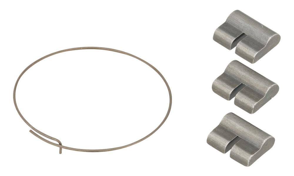 Galinės įvorės remonto komplektas NEWMEN pawl set with spring 