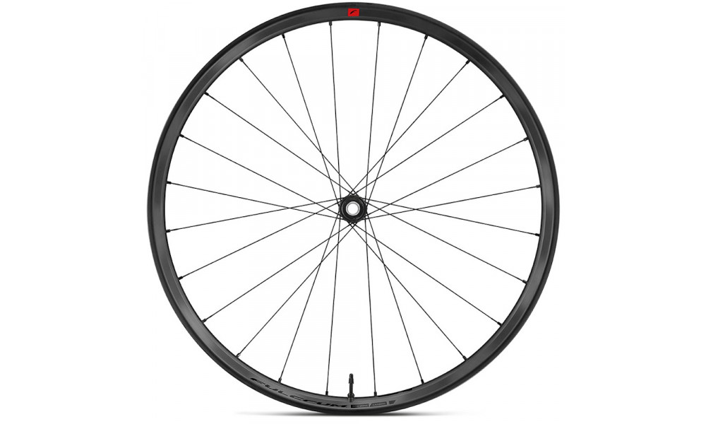 Priekinis dviračio ratas Fulcrum Red Zone Carbon 29 2WF AFS Boost HH15/110 - 2