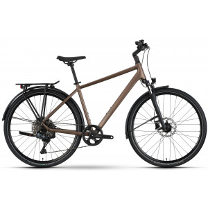 Dviratis Raymon Zayn Auto 2026 mushroom