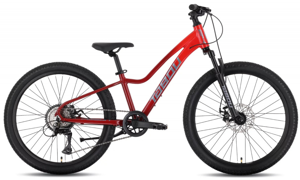 Dviratis Tabou Poison 24 Pro burgundy-red 