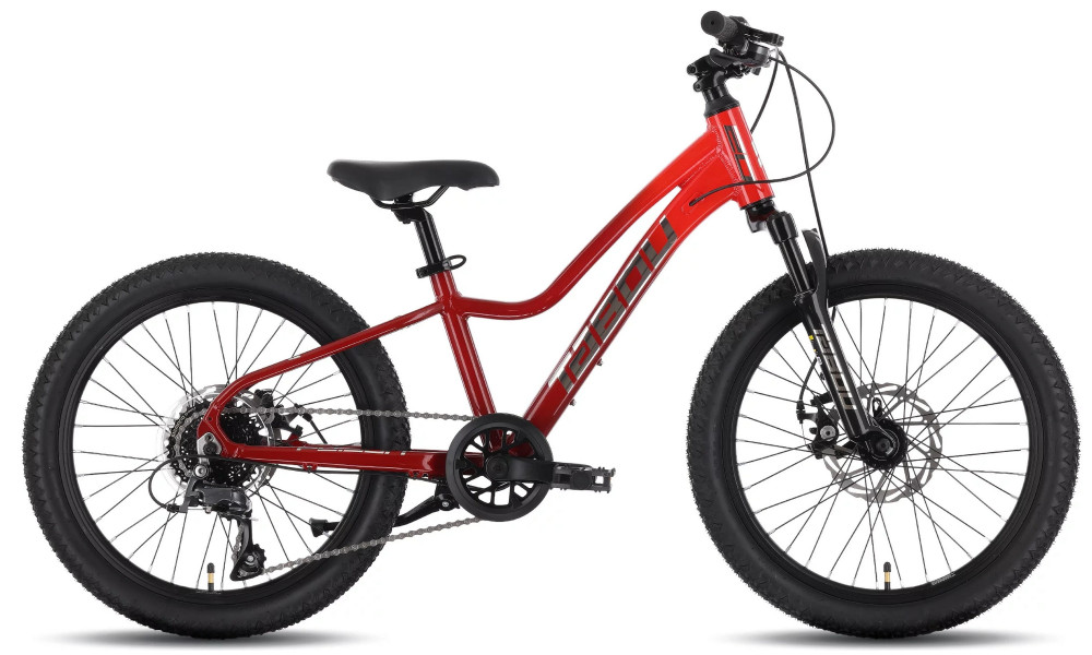 Dviratis Tabou Poison 20 Pro burgundy-red 