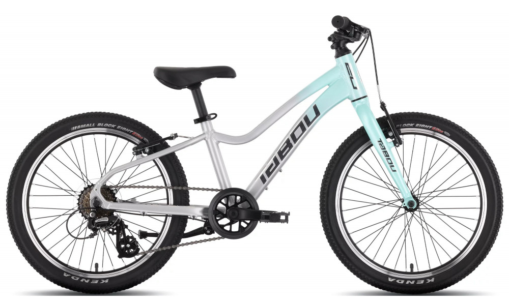 Dviratis Tabou Topshe 20 Lite mint-grey 