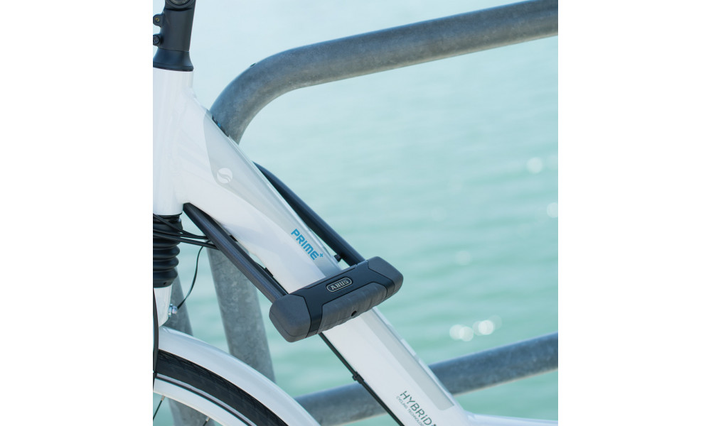 Spyna Abus Granit XPlus 540/160HB230+USH - 4