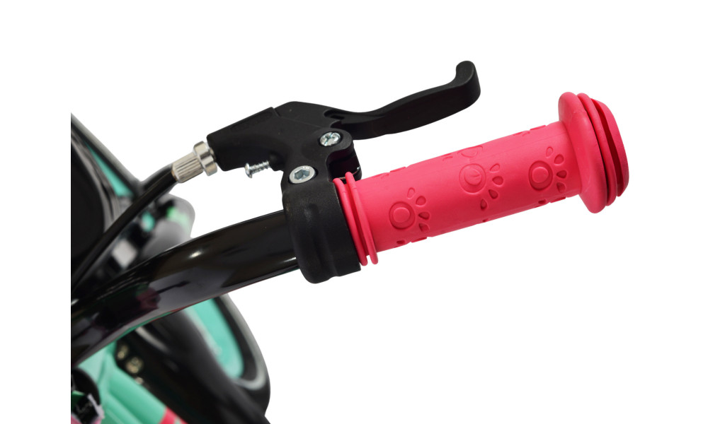 Dviratis Karbon Jazz 16 mint - 4