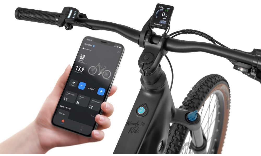 Elektrinis dviratis Ecobike Core Moonstone 900Wh - 3