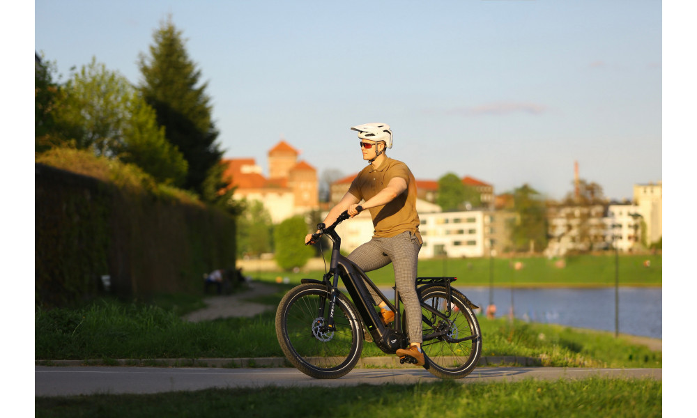 Elektrinis dviratis Ecobike Dare 900Wh - 2