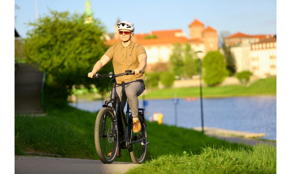 Elektrinis dviratis Ecobike Dare 900Wh - 5