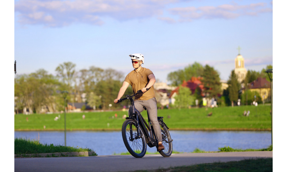 Elektrinis dviratis Ecobike Dare 900Wh - 13