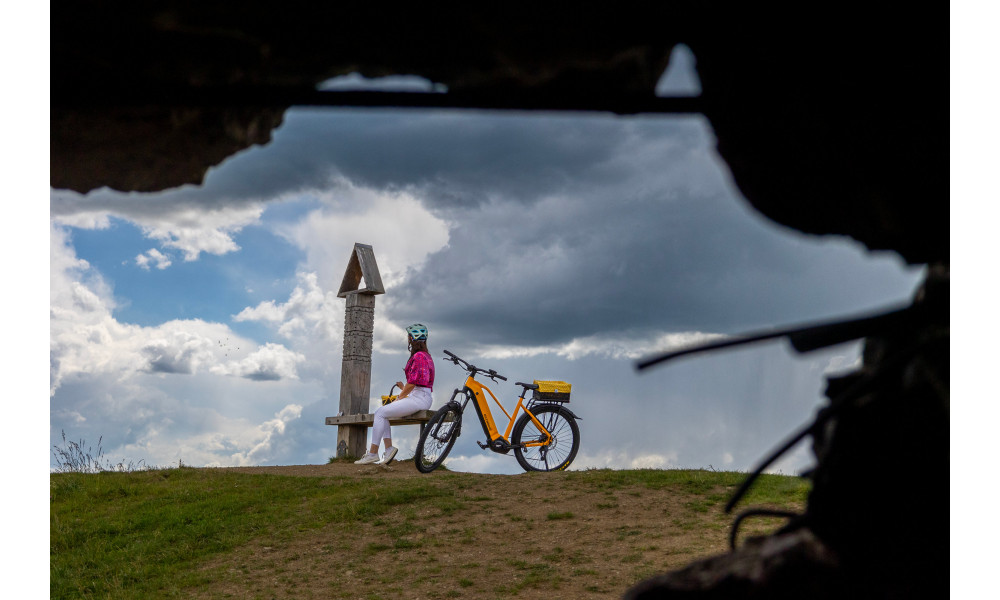 Elektrinis dviratis Ecobike Expedition SUV Yellow 720Wh - 7