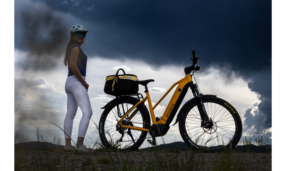 Elektrinis dviratis Ecobike Expedition SUV Yellow 1080Wh - 4