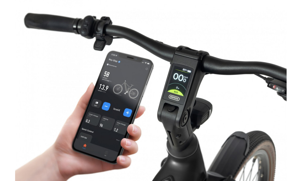 Elektrinis dviratis Ecobike Flex Black 900Wh - 3