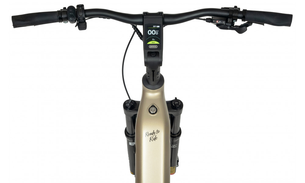 Elektrinis dviratis Ecobike Flex Titanium 900Wh - 10