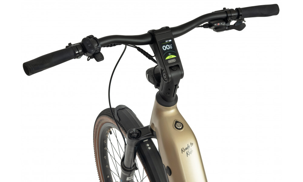Elektrinis dviratis Ecobike Flex Titanium 900Wh - 11