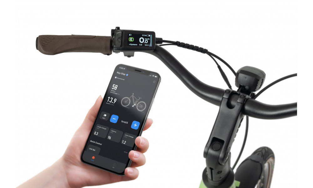 Elektrinis dviratis Ecobike LX100 Automatic Green 630Wh - 5