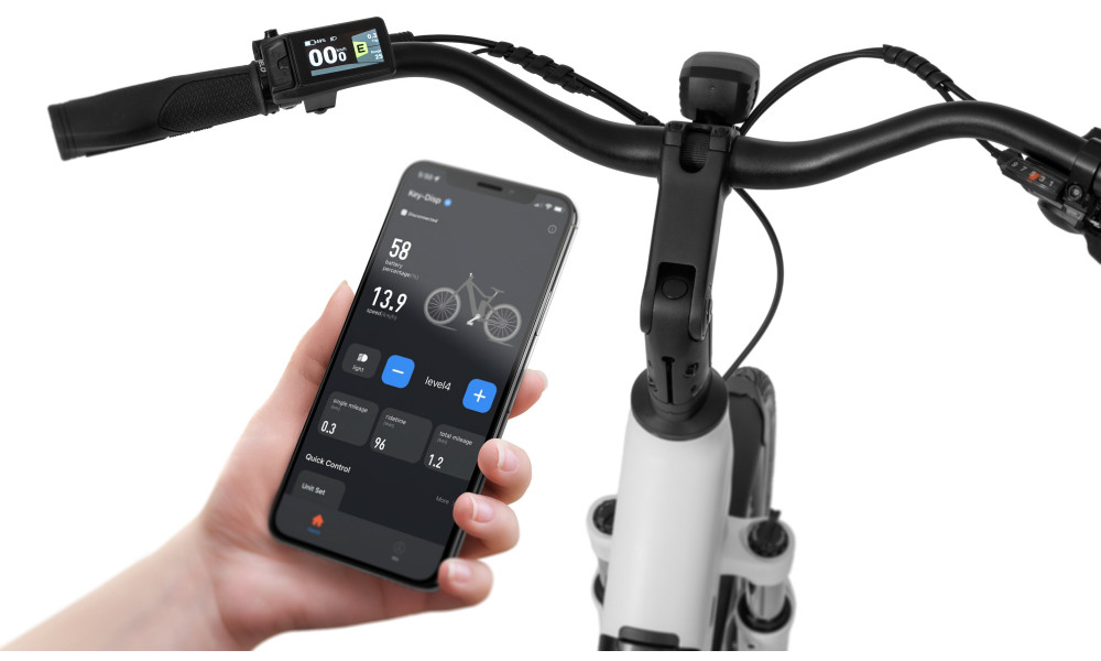 Elektrinis dviratis Ecobike LX100 White V2 630Wh - 4