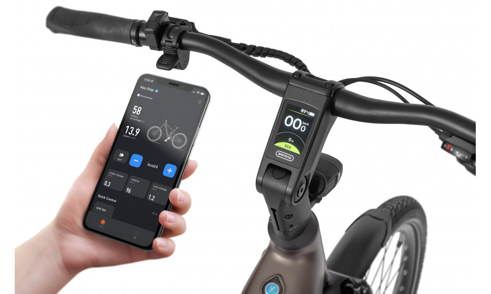 Elektrinis dviratis Ecobike LX300 Onyx V3 900Wh - 4