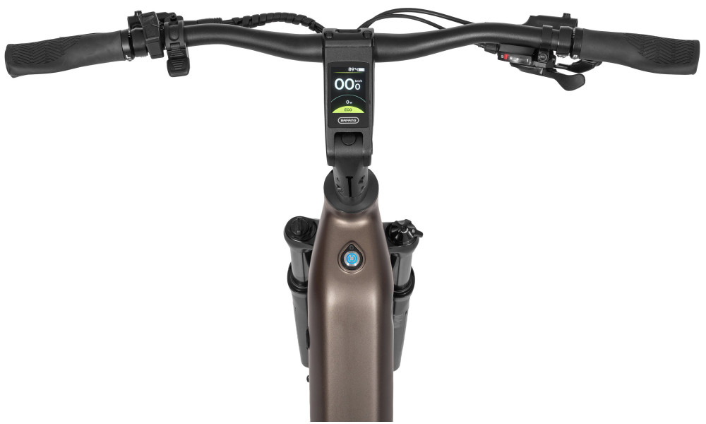 Elektrinis dviratis Ecobike LX300 Onyx V3 900Wh - 9