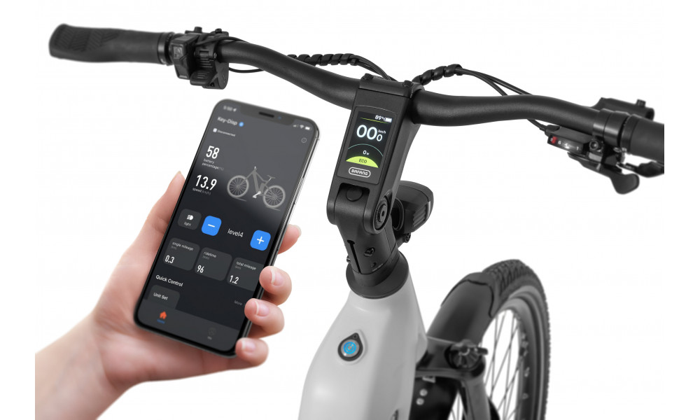 Elektrinis dviratis Ecobike LX300 White V3 900Wh - 4