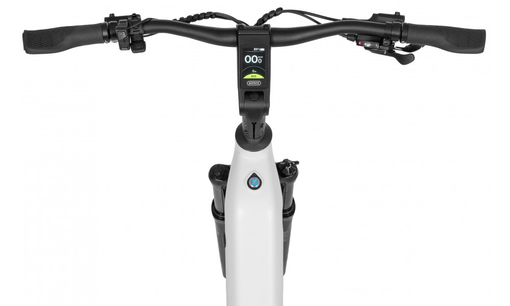Elektrinis dviratis Ecobike LX300 White V3 900Wh - 9