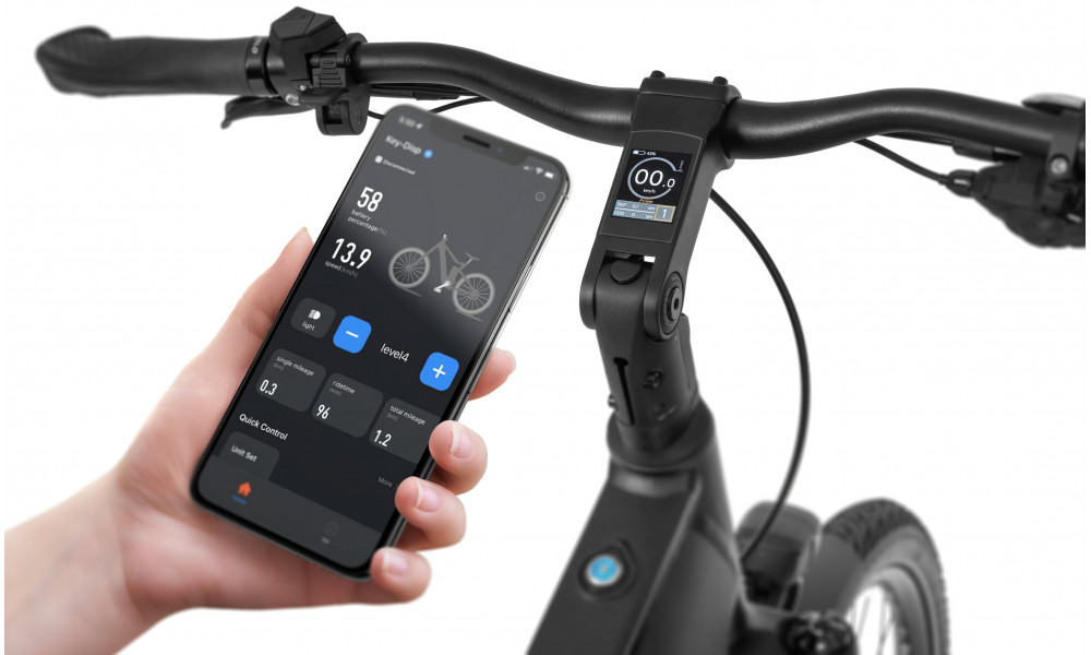 Elektrinis dviratis Ecobike LX500 Graphite 960Wh - 11