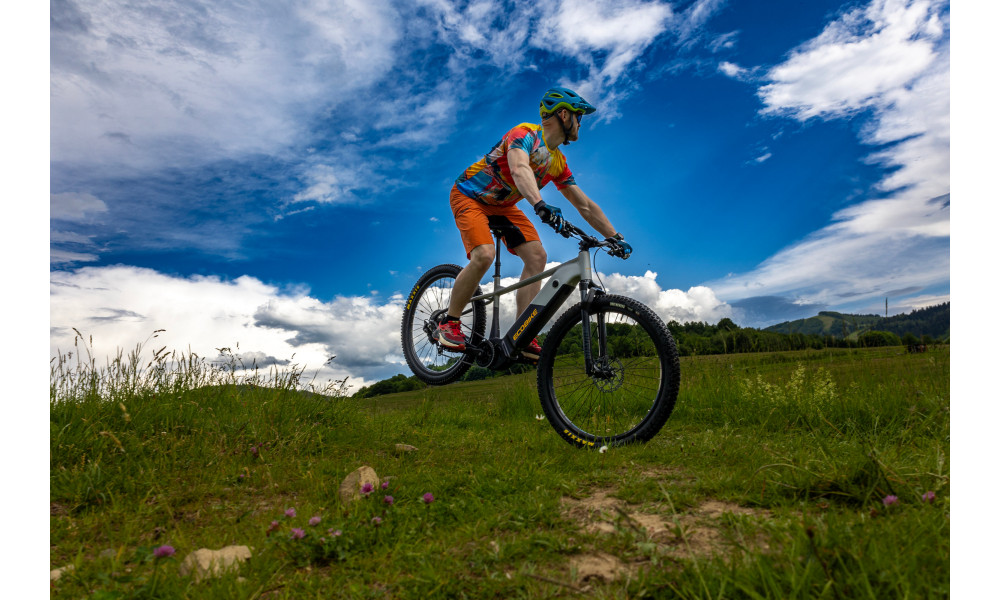 Elektrinis dviratis Ecobike Mauler 720Wh - 15