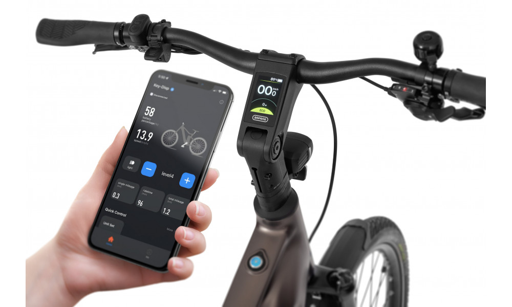 Elektrinis dviratis Ecobike MX300 Golden Grey 900Wh - 2