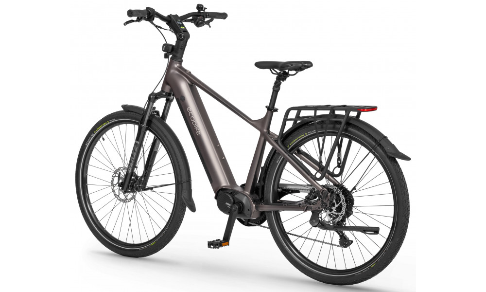 Elektrinis dviratis Ecobike MX300 Golden Grey 900Wh - 5