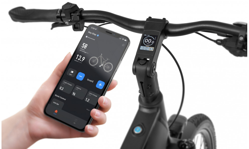 Elektrinis dviratis Ecobike MX500 Graphite 720Wh - 11