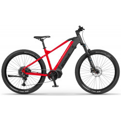 Elektrinis dviratis Ecobike RX500 Black 960Wh