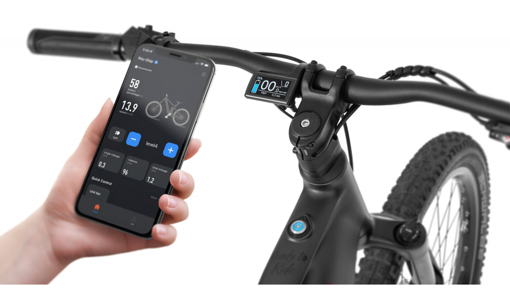 Elektrinis dviratis Ecobike RX500 Black 960Wh - 11