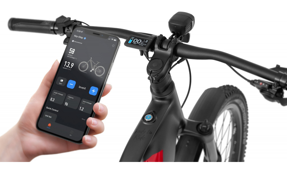 Elektrinis dviratis Ecobike RX500 Black SUV 960Wh - 11