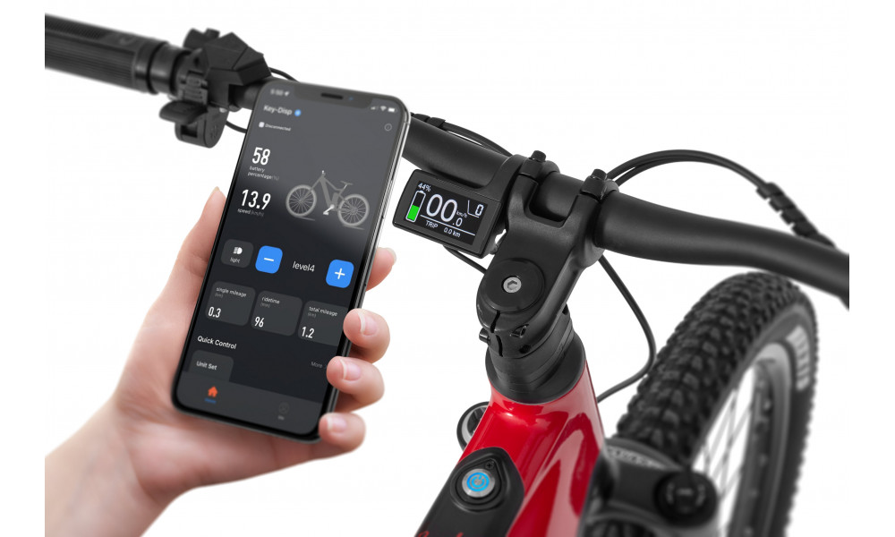 Elektrinis dviratis Ecobike RX500 Max Red 960Wh - 3