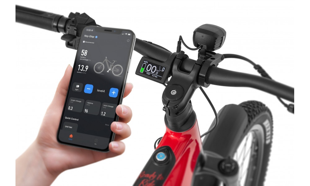 Elektrinis dviratis Ecobike RX500 Max Red SUV 960Wh - 3