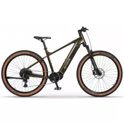 Elektrinis dviratis Ecobike SX300 Green V2 900Wh