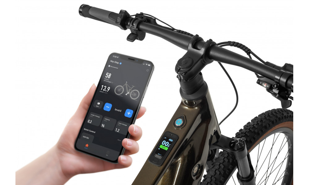 Elektrinis dviratis Ecobike SX300 Green V2 900Wh - 4