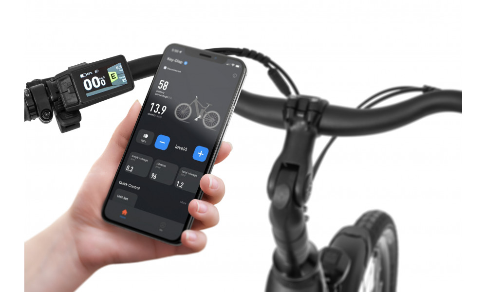 Elektrinis dviratis Ecobike X-City Black V3 504Wh - 3