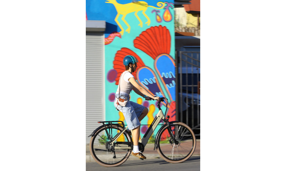 Elektrinis dviratis Ecobike X-City Cappuccino V3 504Wh - 3