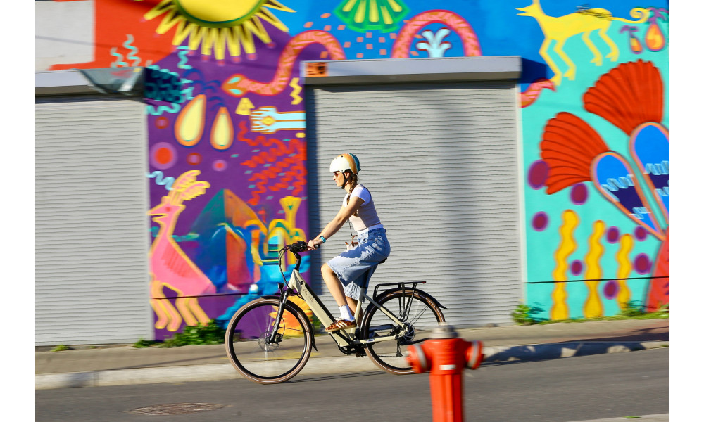 Elektrinis dviratis Ecobike X-City Cappuccino V3 504Wh - 7