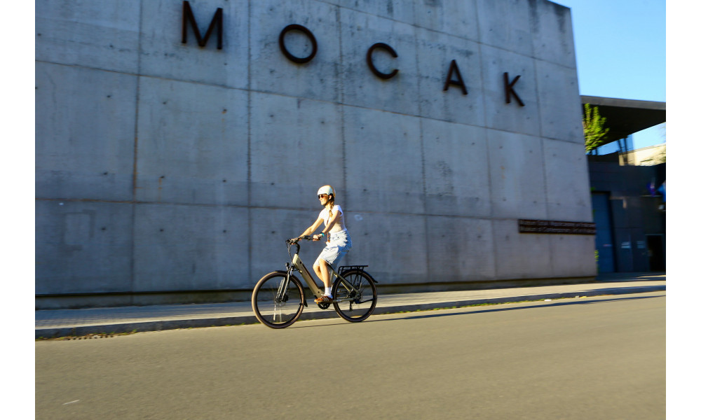 Elektrinis dviratis Ecobike X-City Cappuccino V3 630Wh - 9