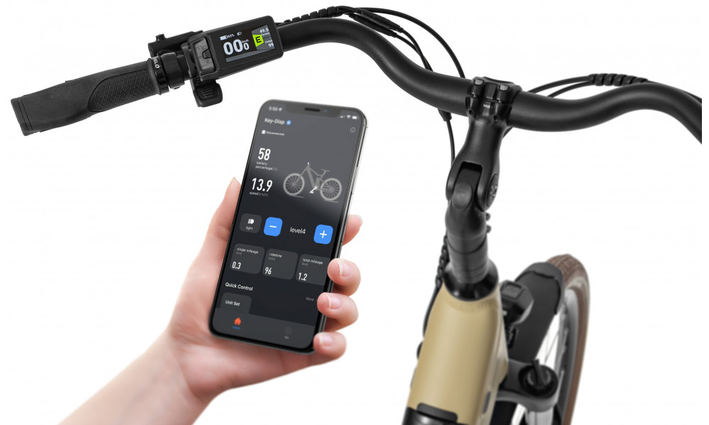 Elektrinis dviratis Ecobike X-City Cappuccino V3 630Wh - 18