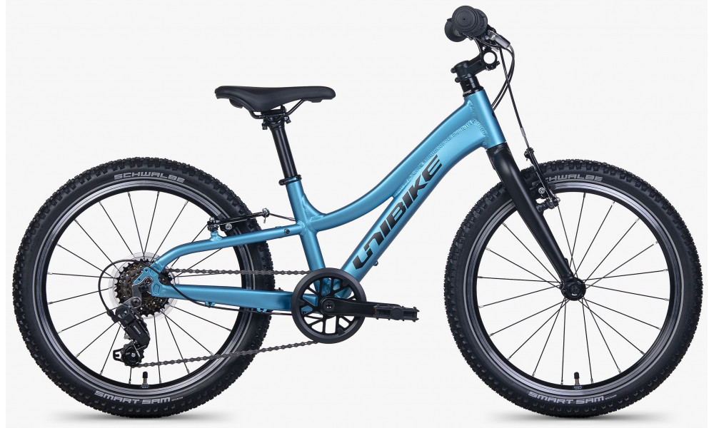 Dviratis Unibike Twist 20 2026 blue - 1