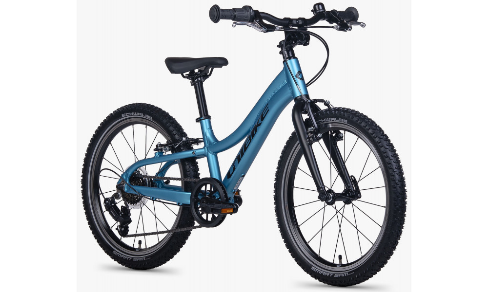 Dviratis Unibike Twist 20 2026 blue - 2