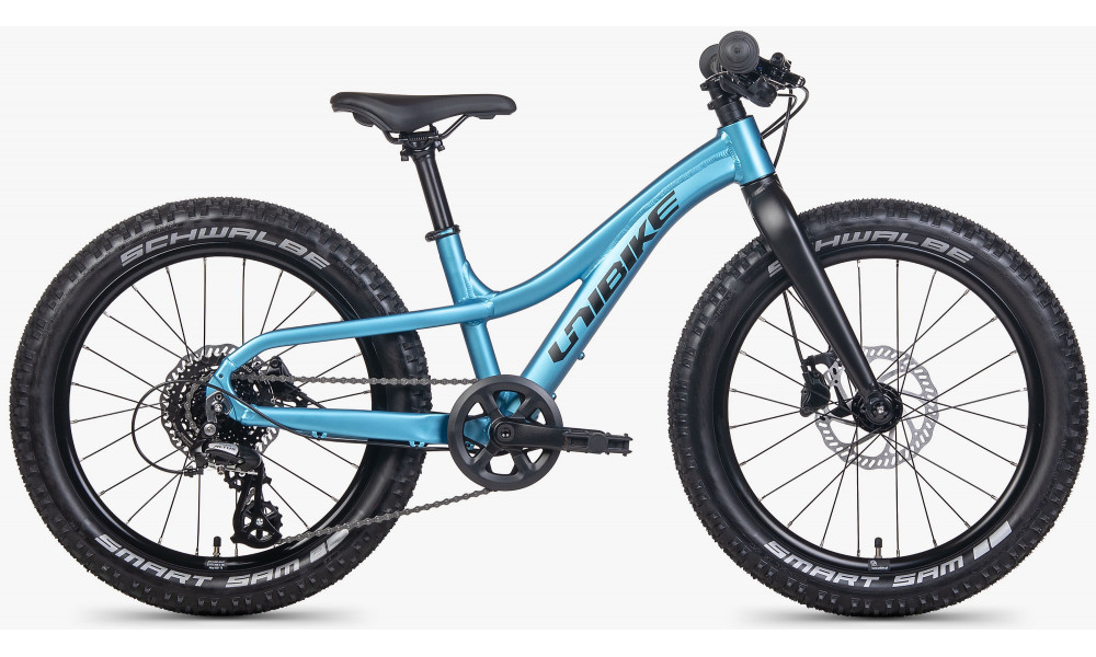 Dviratis Unibike Dart 20 2026 blue - 1