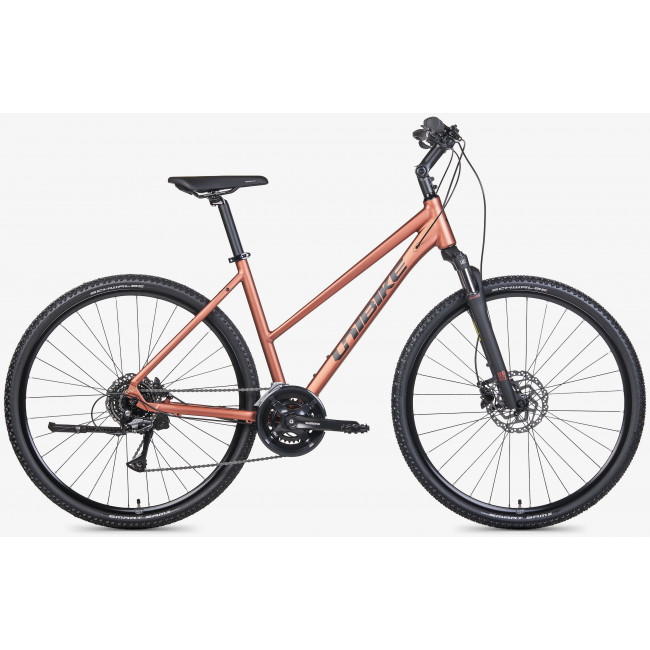 Dviratis Unibike Flash LDS 2026 brandy