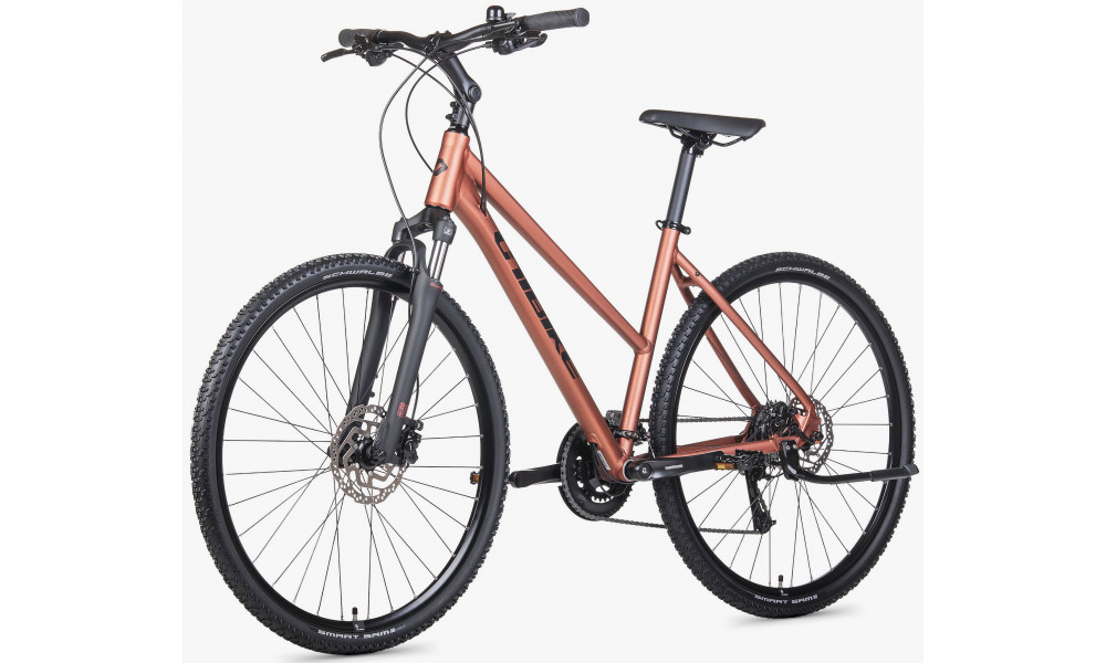 Dviratis Unibike Flash LDS 2026 brandy - 3