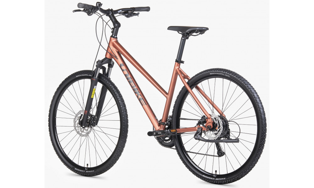 Dviratis Unibike Flash LDS 2026 brandy - 4