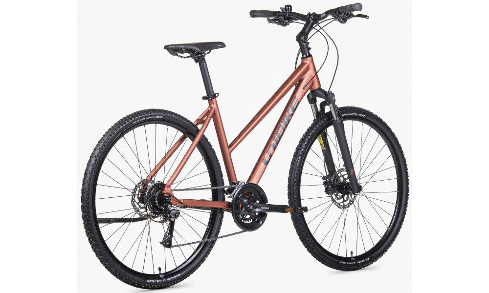 Dviratis Unibike Flash LDS 2026 brandy - 5