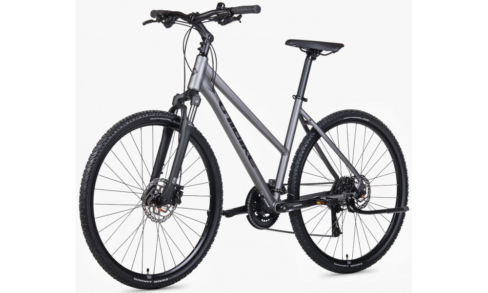 Dviratis Unibike Flash LDS 2026 graphite - 3