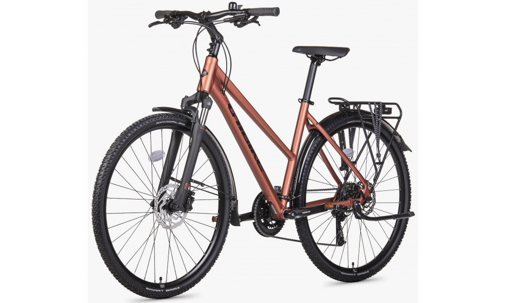 Dviratis Unibike Flash EQ LDS 2026 brandy - 3