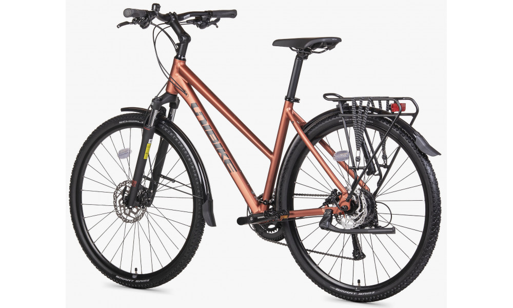 Dviratis Unibike Flash EQ LDS 2026 brandy - 4